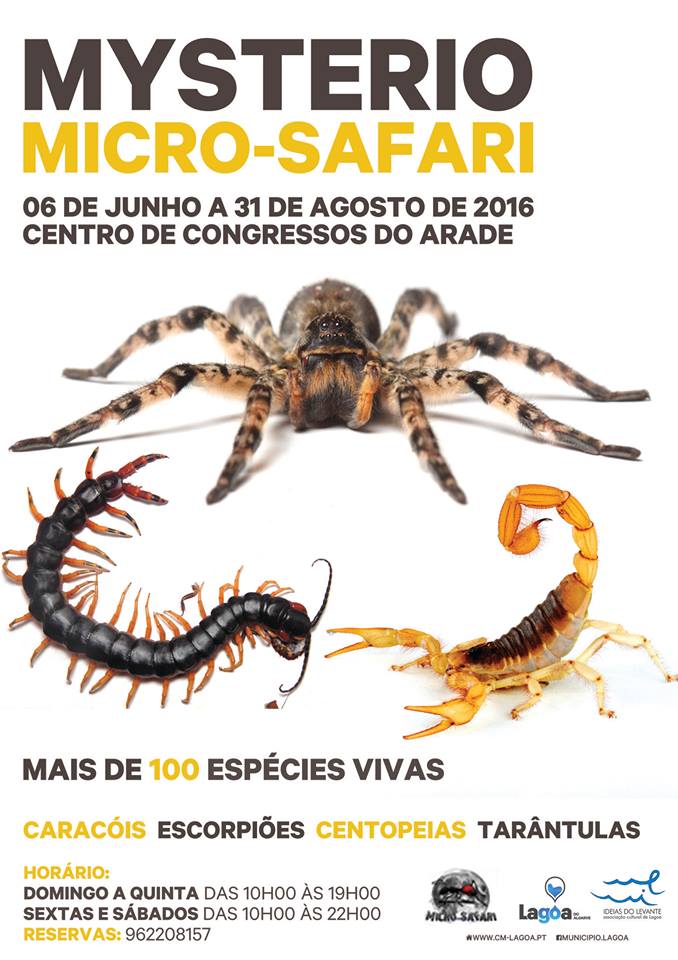 Espécies raras e misteriosas invadem Lagoa